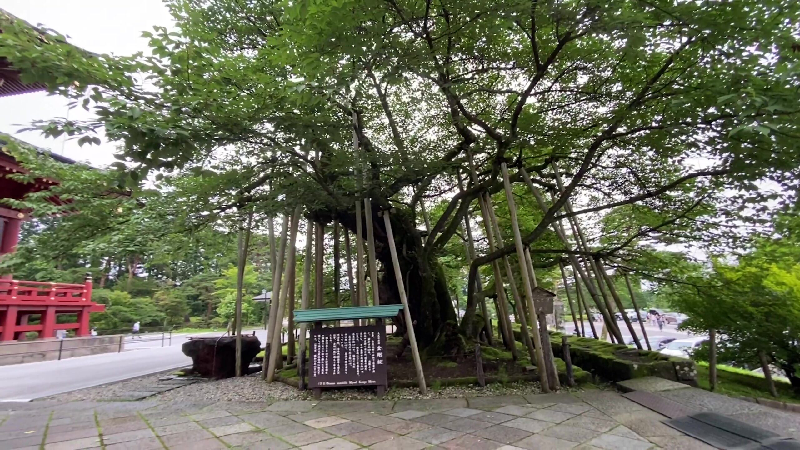 日光東照宮へ行ってきました 世界遺産 日光の社寺 観光ブログレビュー 温泉ホテル旅を楽しむ 日光東照宮へ行ってきました 世界遺産 日光の社寺 観光ブログレビュー 温泉ホテル旅を楽しむ