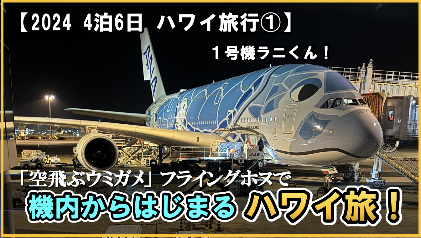 ANAダイヤモンド 機内・空港お買い物クーポン 4万円 2024年 たどりつけ